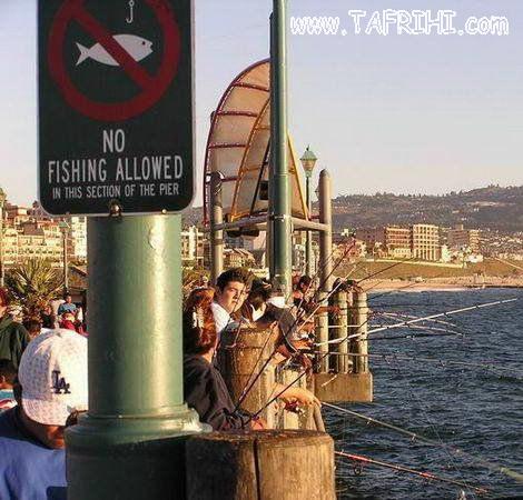 ماهيگيري ممنوع!